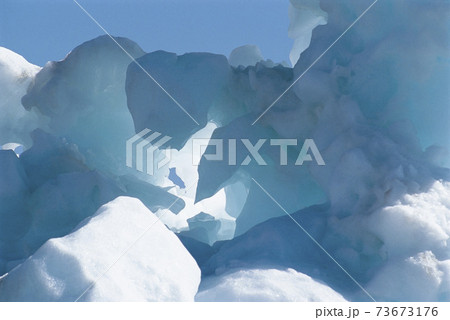 iceberg in sea 73673176