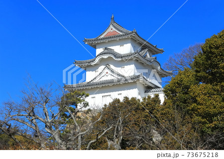 【兵庫県】晴天下の明石城（坤櫓） 73675218
