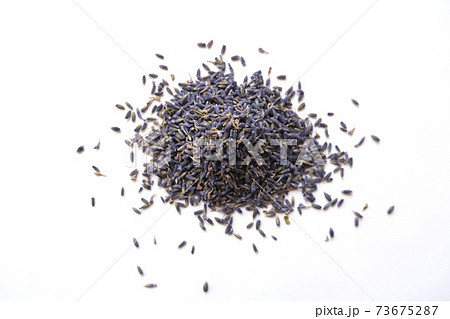 Dried lavender flowers seeds little pile on the white background, shallow depth Dried lavender flowers seeds little pile on the white background, shallow depth 73675287