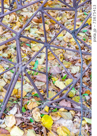 Abstract design from rusty rebar and leaves 73675413