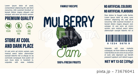 Family recipe Mulberry jam label template. Abstract modern vector packaging design layout. Colorful banner with typography and hand drawn fruit. Isolated. 73676041