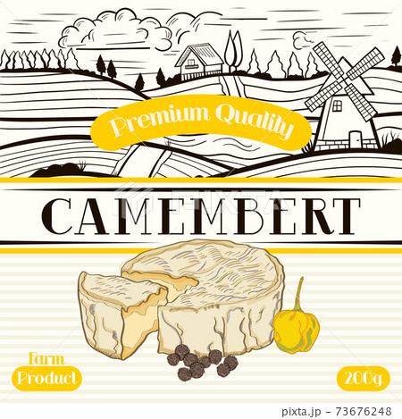 Farm Product Camembert label template. Modern vector packaging design layout. Retro banner with typography and hand drawn cheese. Isolated. 73676248