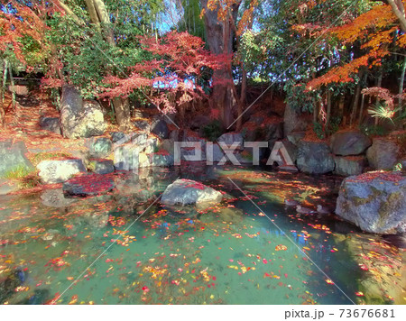 龍津寺(東京の名湧水57選) 晩秋 龍津寺(東京の名湧水57選) 晩秋 73676681