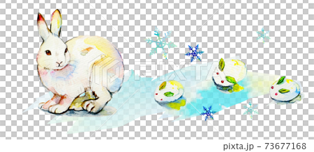 Snow rabbit Snow rabbit 73677168