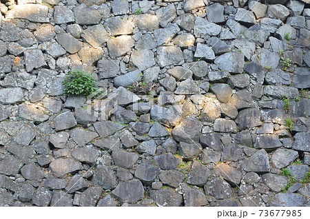 石垣(名古屋城/愛知県名古屋市) 石垣(名古屋城/愛知県名古屋市) 73677985