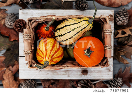 Pumpkin harvest in rustic box with autumn leaves on wooden background, season holiday concept 73677991