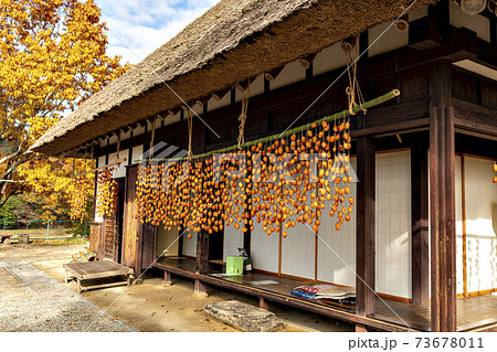 兵庫県三田市の茅葺き農家に吊るされた柿のある風景 73678011