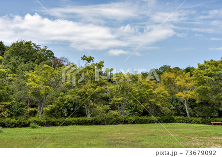 兵庫県三田市の夏の公園風景 73679092