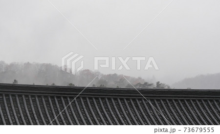 秋 紅葉 落葉 73679555