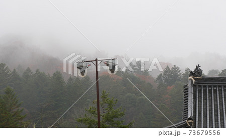 秋 紅葉 落葉 73679556