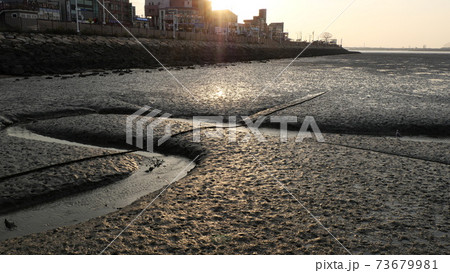海 干潟 夕焼け 73679981