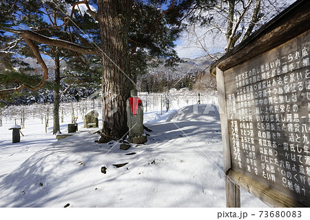 遠野遺産　阿曽沼公歴代の碑とシダレザクラ 73680083