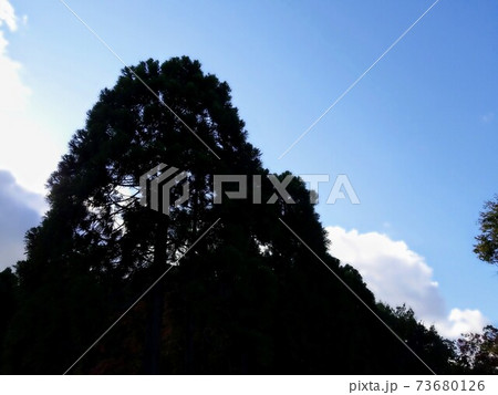 空と雲と影 空と雲と影 73680126