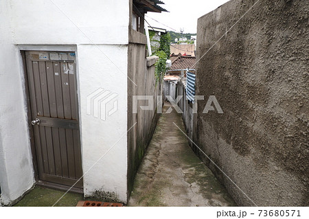 屋根 猫 壁画村 73680571