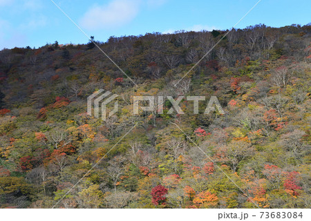 那須平成の森・駒止の滝　　＃5 73683084