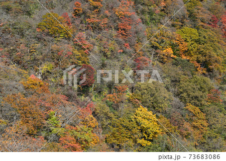 那須平成の森・駒止の滝　　＃3 73683086