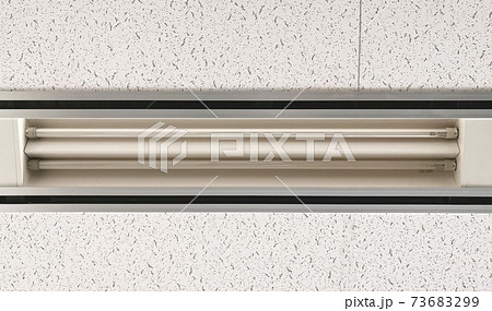 直管蛍光灯 73683299