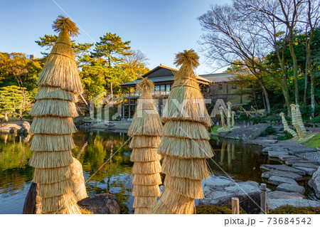 徳川園、蘇鉄の菰巻き〈愛知県名古屋市〉 73684542
