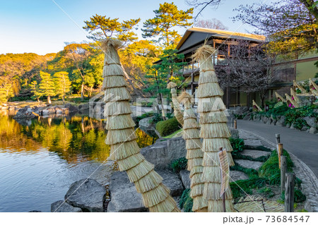 徳川園、蘇鉄の菰巻き〈愛知県名古屋市〉 徳川園、蘇鉄の菰巻き〈愛知県名古屋市〉 73684547