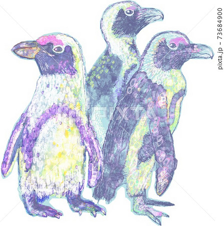 Exciting Penguins Stock Illustration