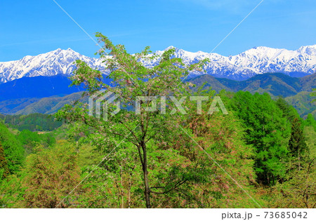 麗しき北アルプス　その2101　：　初春の北アルプス　その2101 73685042