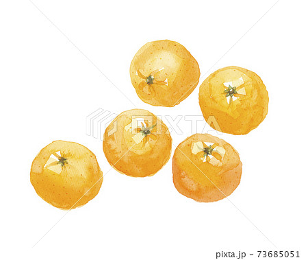 ポンカン　椪柑　5個 73685051