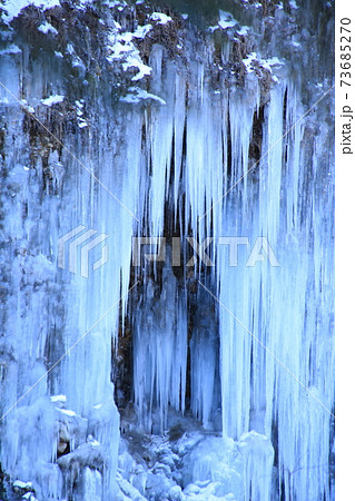 御嶽山の清水からできた白川氷柱群 御嶽山の清水からできた白川氷柱群 73685270