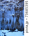 御嶽山の清水からできる白川氷柱群 73685395