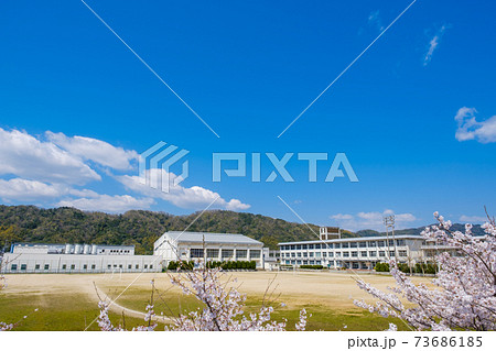 桜と学校　春　入学イメージ 73686185