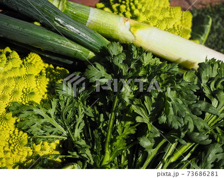 緑の野菜 73686281