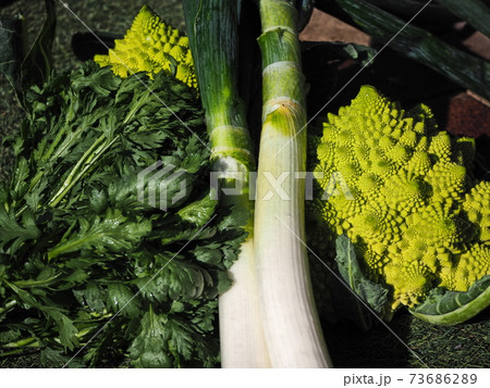 緑の野菜 73686289