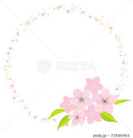 桜の花のイラストのフレーム素材 ベクター 白背景 切り抜き のイラスト素材