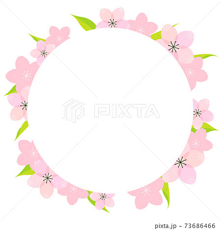 桜の花のイラストのフレーム素材 ベクター 白背景 切り抜き のイラスト素材