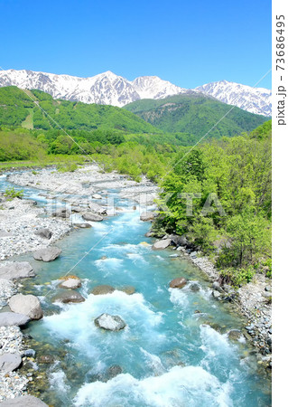 新緑の松川と残雪の北アルプス 73686495