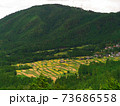 京都宕陰地区棚田遠望 73686558