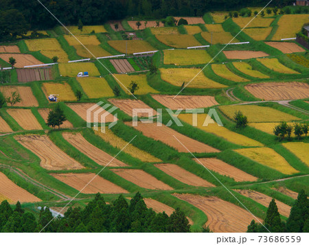京都宕陰地区棚田 京都宕陰地区棚田 73686559