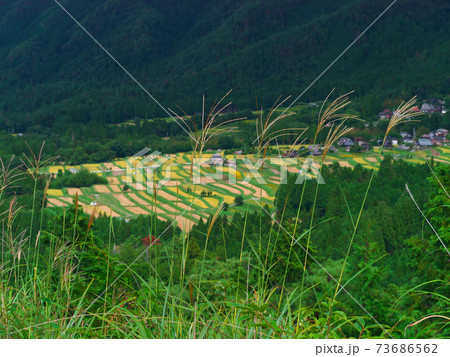 京都宕陰地区棚田遠望 73686562