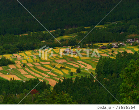 京都宕陰地区棚田遠望 73686564