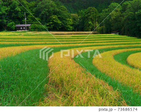 京都宕陰地区棚田 73686574