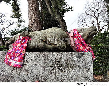 北野天満宮 牛の像／撫で牛1 73686998