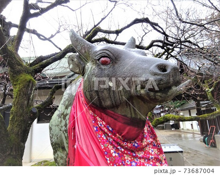 北野天満宮 牛の像／撫で牛4 73687004