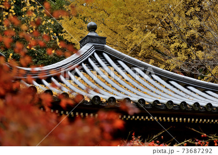 山口県下関市豊前田にある福仙寺の屋根が紅葉に囲まれて美しく映える風景 山口県下関市豊前田にある福仙寺の屋根が紅葉に囲まれて美しく映える風景 73687292