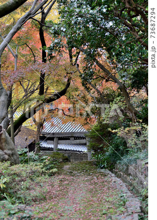 山口県下関市豊前田にある紅葉稲荷神社の参道に落ち葉が積もっている風景 73687294