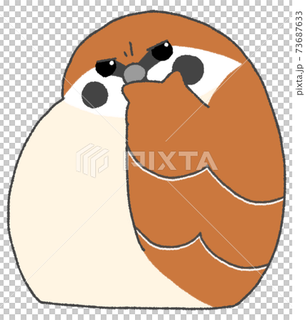 A cute sparrow that feels suspicious and wrinkles between the eyebrows 73687633