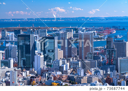 《東京都》東京都市イメージ・冬 73687744
