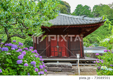 三河のあじさい寺、本光寺〈愛知県額田郡〉 三河のあじさい寺、本光寺〈愛知県額田郡〉 73689501