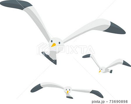 飛んでいる3羽のカモメのイメージイラストのイラスト素材