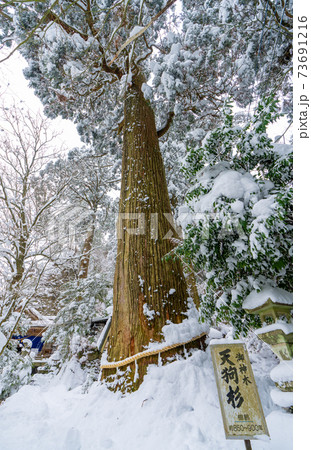 雪の英彦山豊前坊展望台登山口（高住神社参道） 73691216