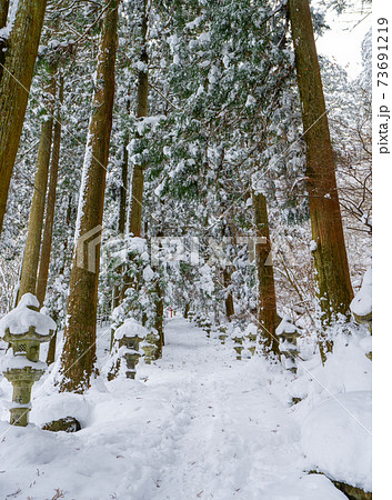 雪の英彦山豊前坊展望台登山口(高住神社参道) 雪の英彦山豊前坊展望台登山口(高住神社参道) 73691219