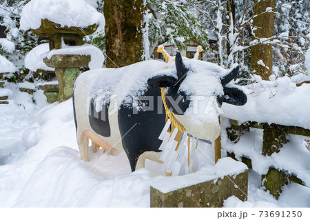 雪の英彦山豊前坊展望台登山口(高住神社参道) 雪の英彦山豊前坊展望台登山口(高住神社参道) 73691250